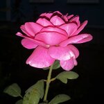Ирина С.