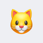 Татьяна Котова